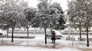 大雪覆路，易视界激情燃新春