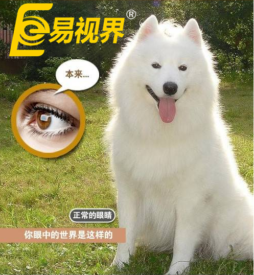 不一样的眼病,不一样的世界