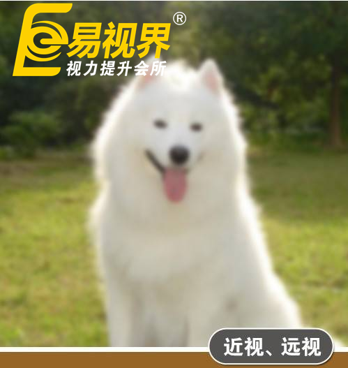不一样的眼病,不一样的世界