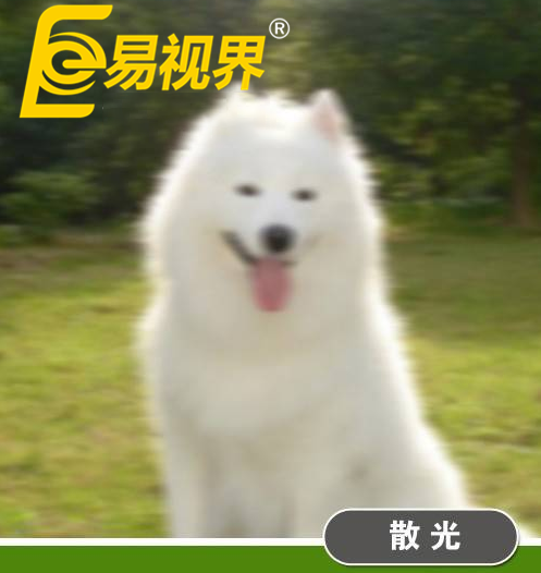 不一样的眼病,不一样的世界