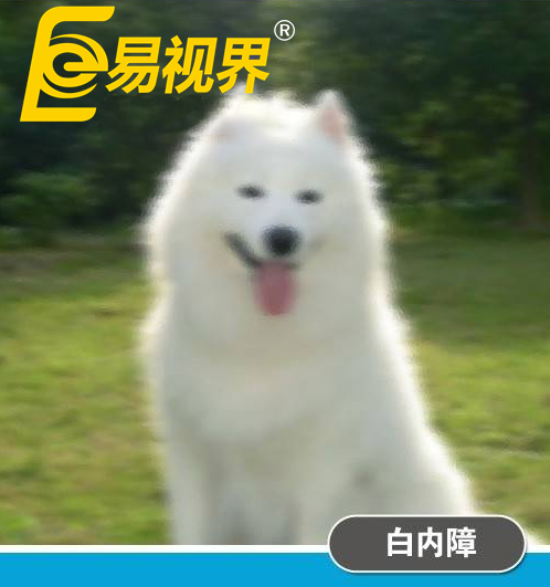 不一样的眼病,不一样的世界