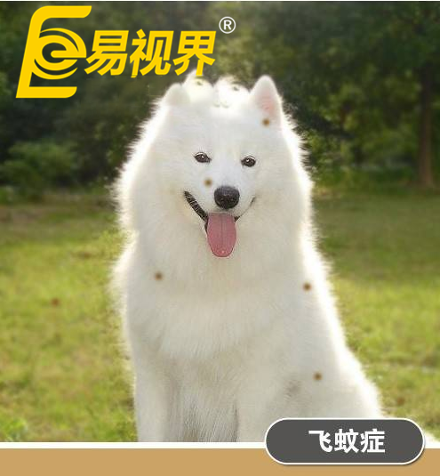 不一样的眼病,不一样的世界