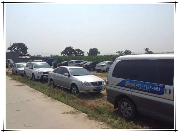 易视界葡萄基地首届采摘活动圆满结束