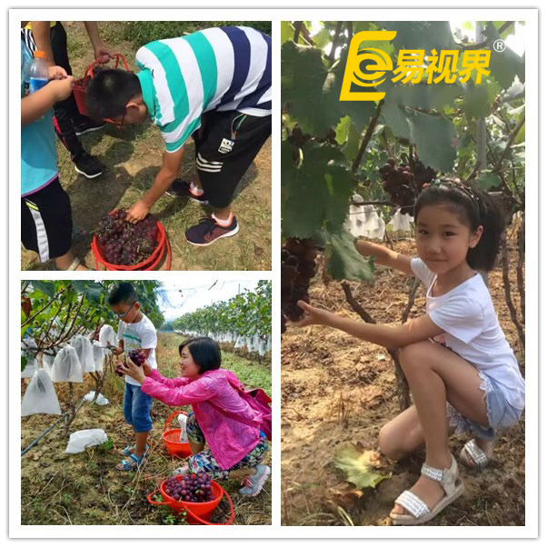 八月亲子游活动 易视界和您相约古荥